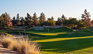 Desert Pines Golf Club - GolLasVegasNevada.com - Photo By Brian Oar/Fairways Photography